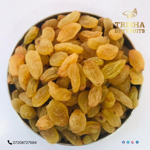 KISMIS GOLDEN (PREMIUM) - TRISHA DRYFRUITS™